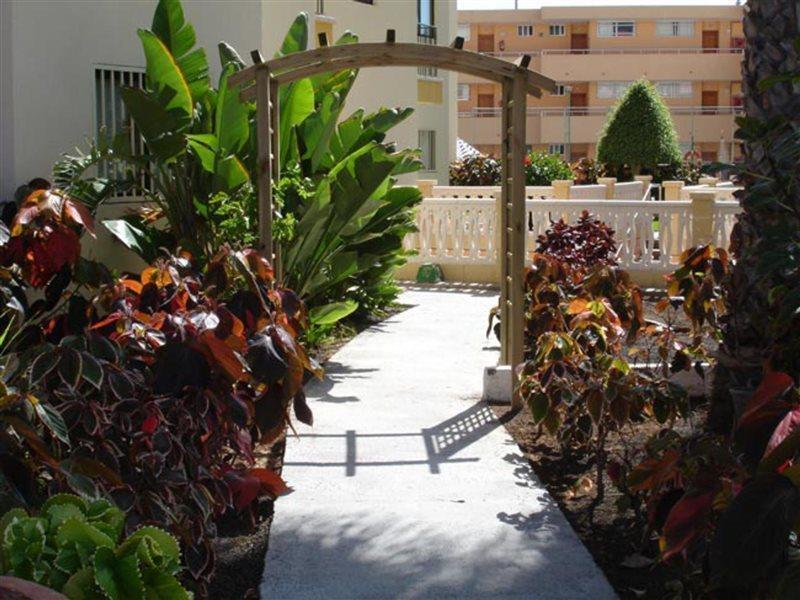 Apartamento Los Ficus Playa Del Inlges Playa del Inglés Exterior foto